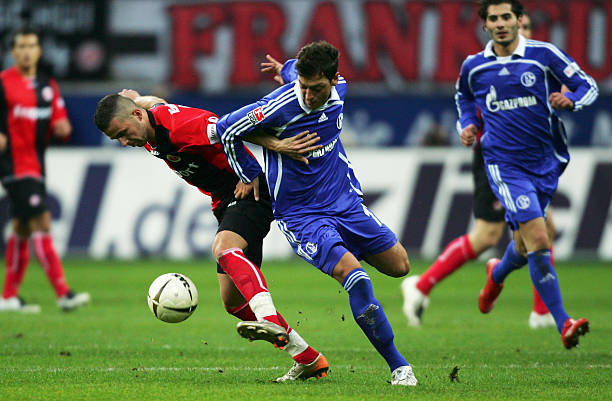 在主场迎战 在主场迎战